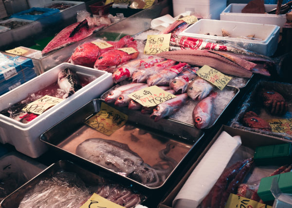 Les étals du marché couver de Tsukiji, plus grand marhé aux poissons du monde