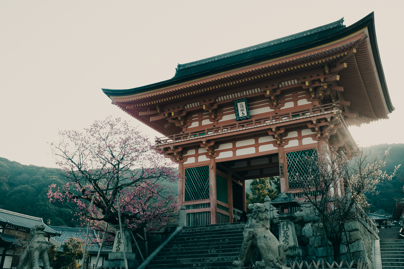 le Kiyomizu Dera, temple emblématique de Kyoto