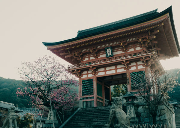 le Kiyomizu Dera, temple emblématique de Kyoto