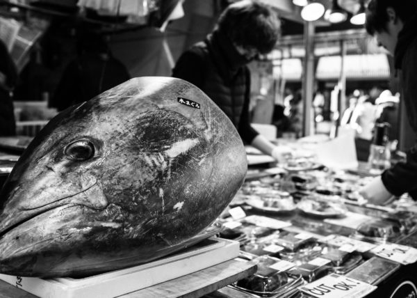 Le marché de Tsukiji et l'incontournable Thon dont les japonais ne peuvent se passer